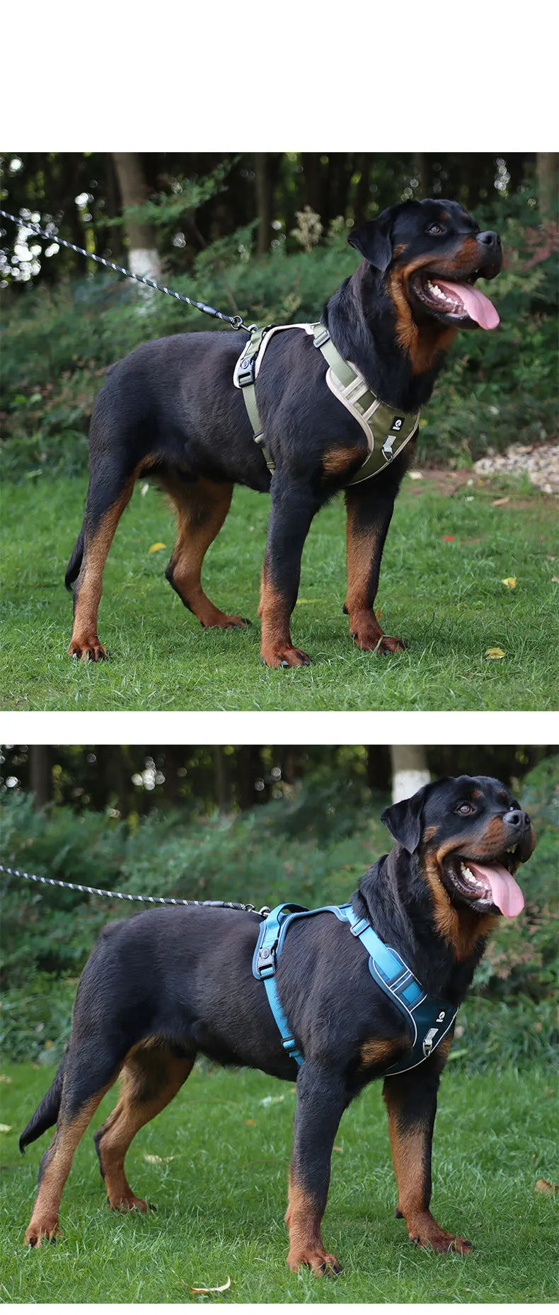 Reflective Harness