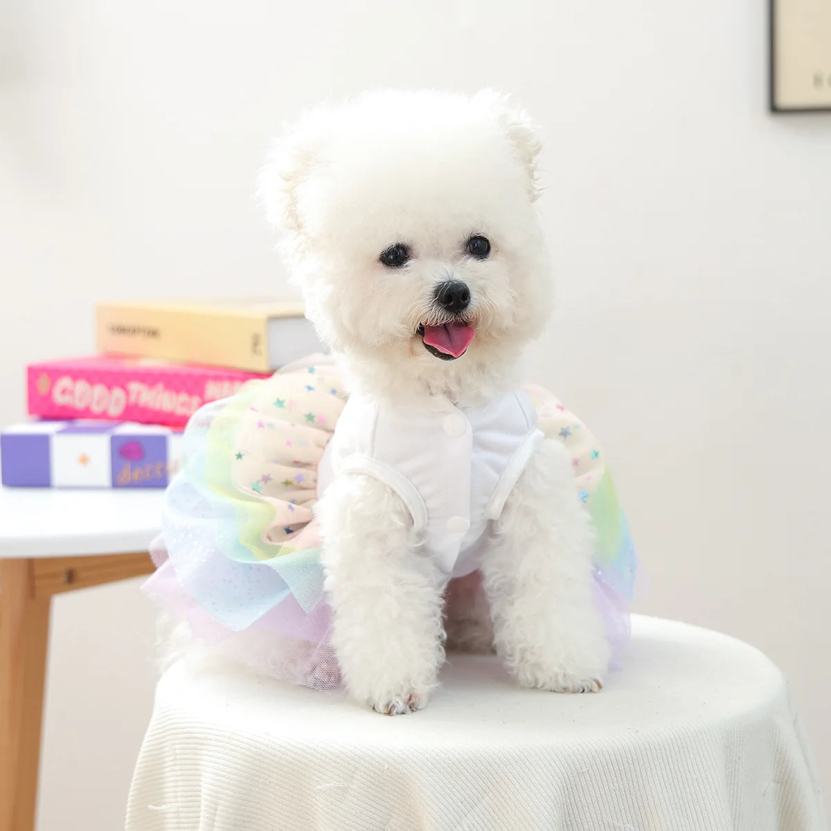 Birthday Suit For Dog