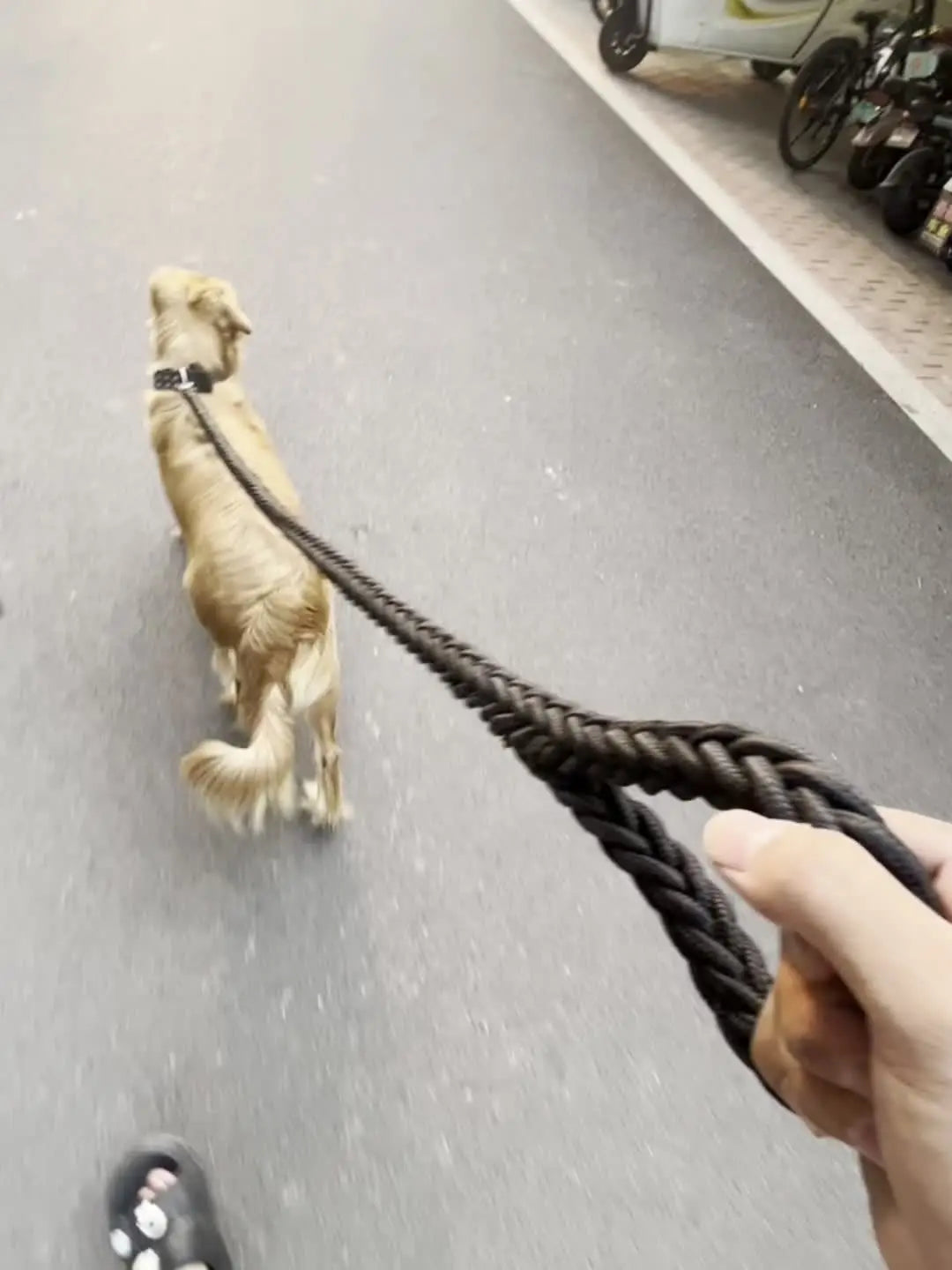 Dog leash strong and durable braid