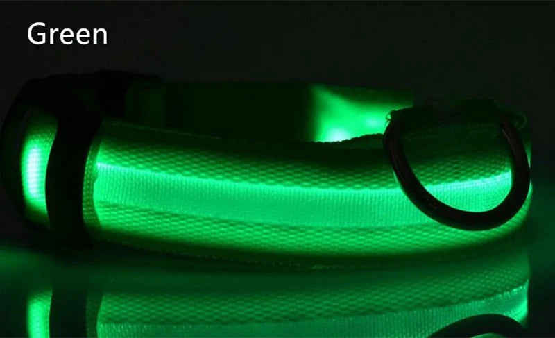 Dog LED Light Collar
