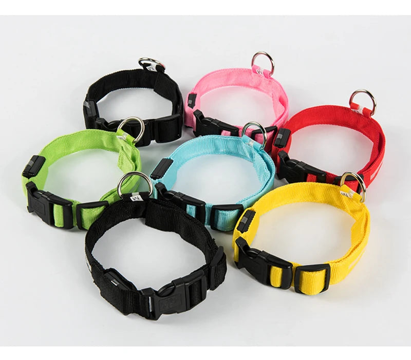 Dog LED Light Collar