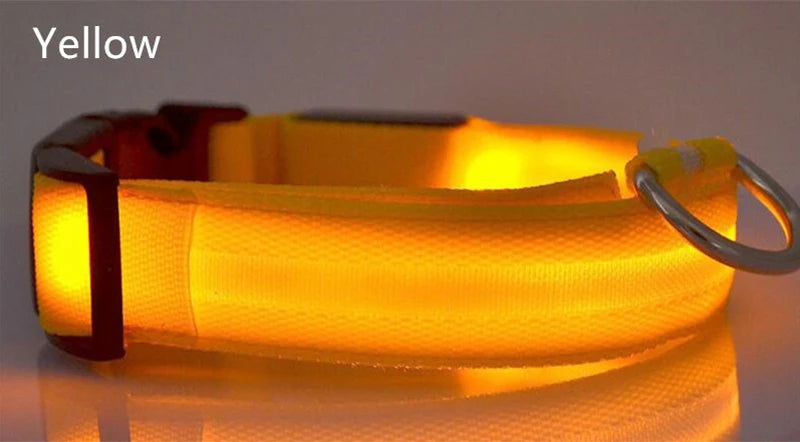 Dog LED Light Collar