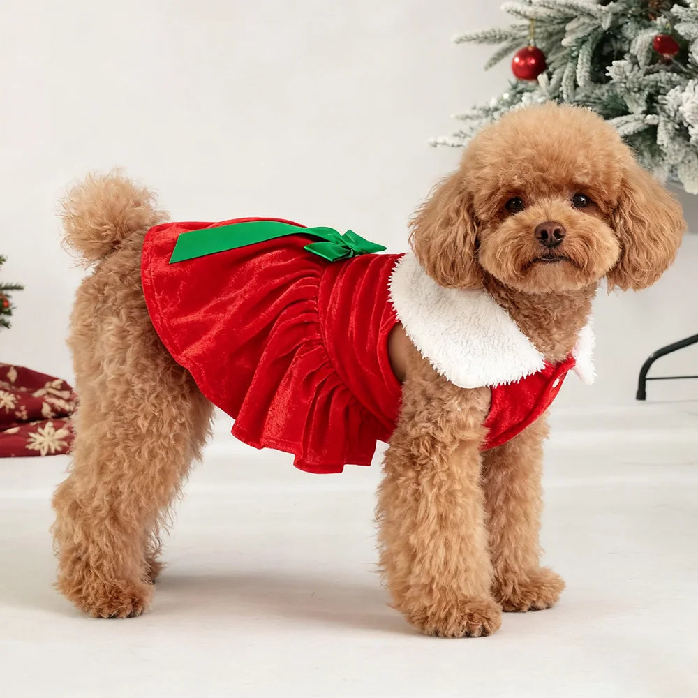 Christmas Dog Dress