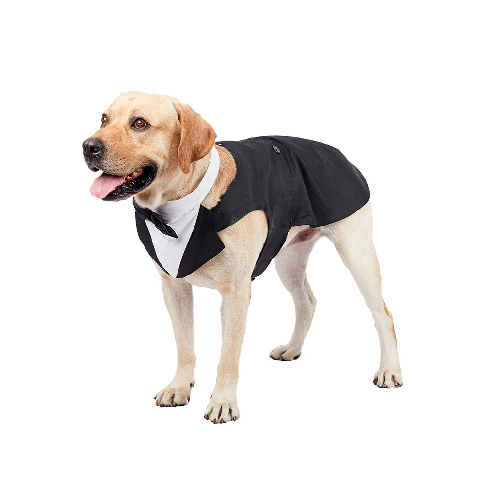 Dog Tuxedo
