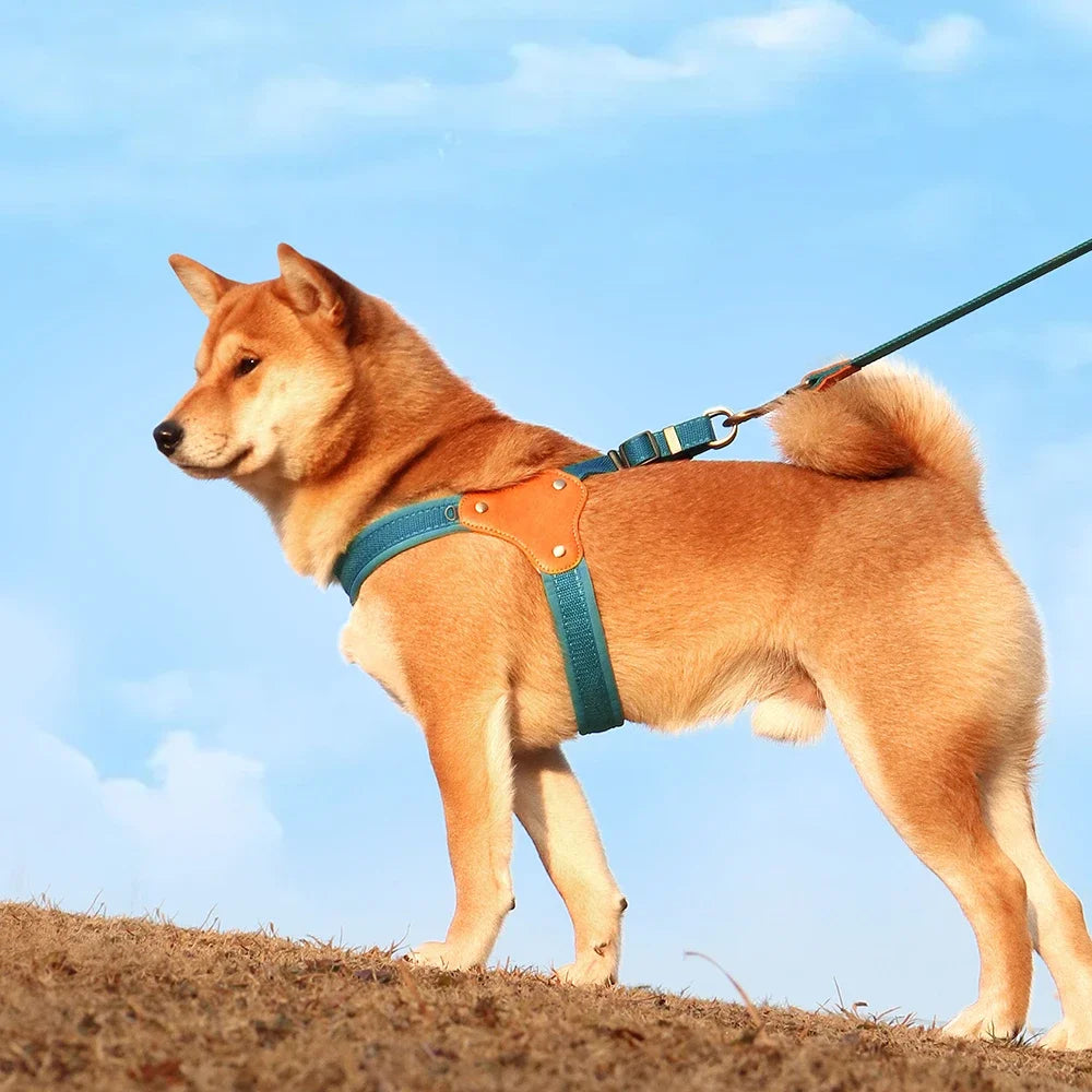 Durable Nylon Dog Harness