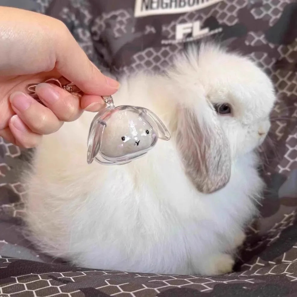 Dog Hair Pendant Keychain