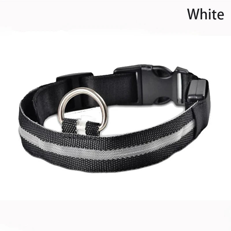 Dog LED Light Collar