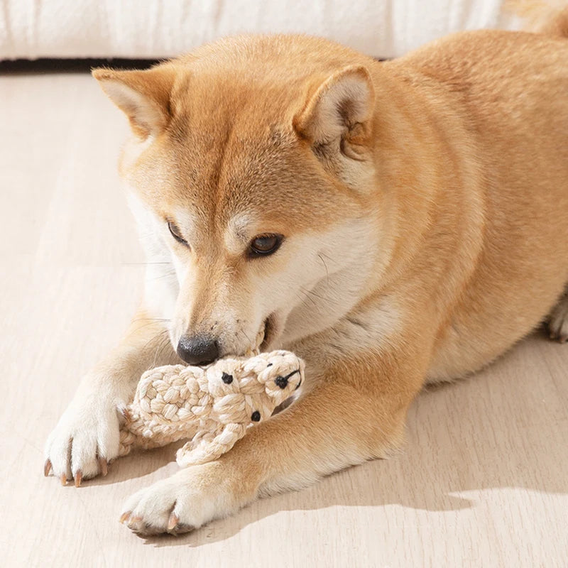 Dog Rope Toy Cartoon Animal