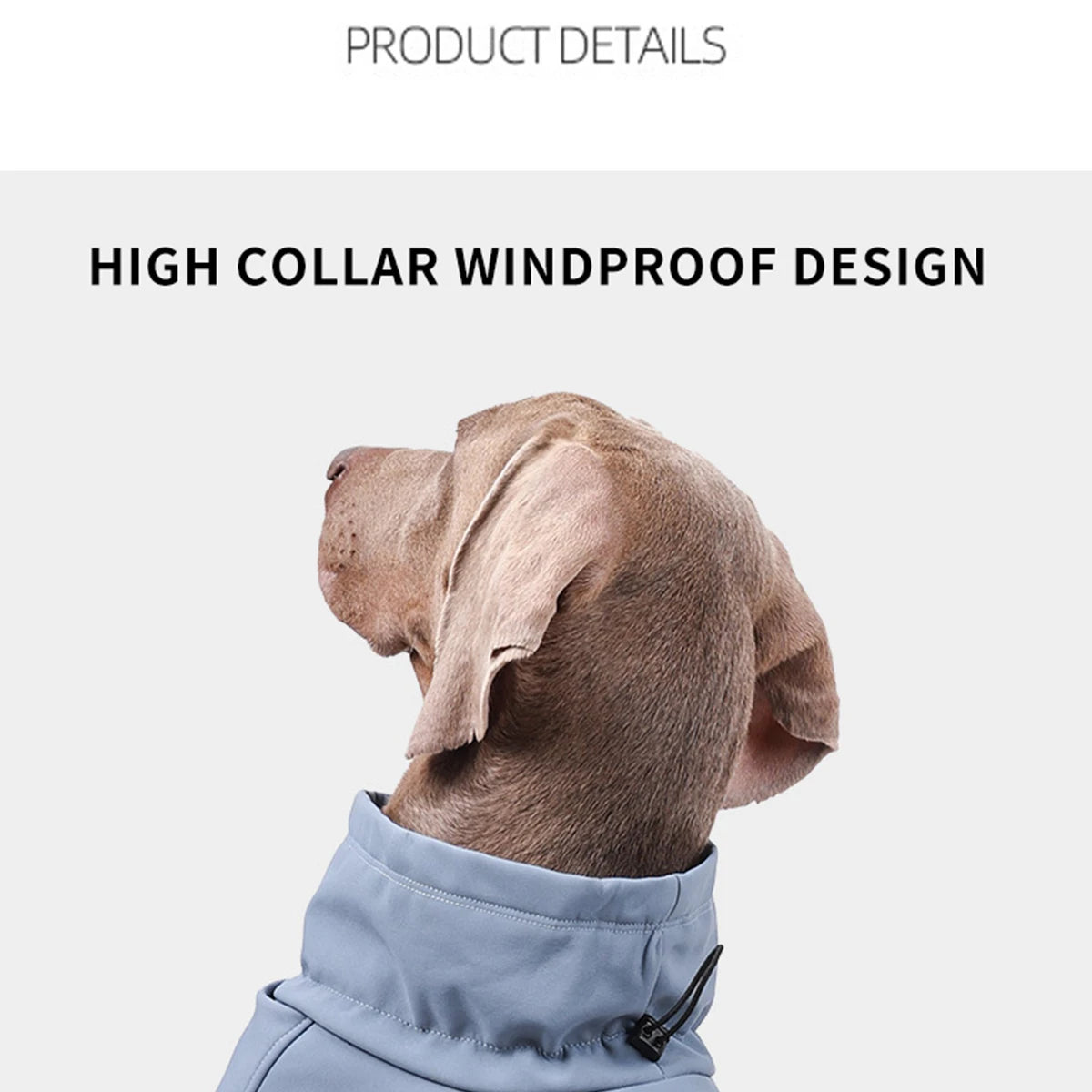 Dog Fleece