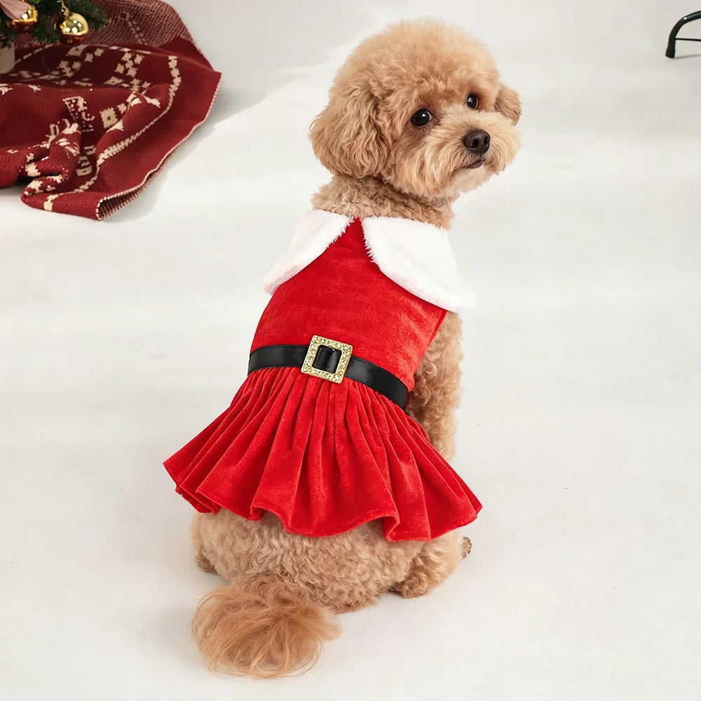 Christmas Dog Dress