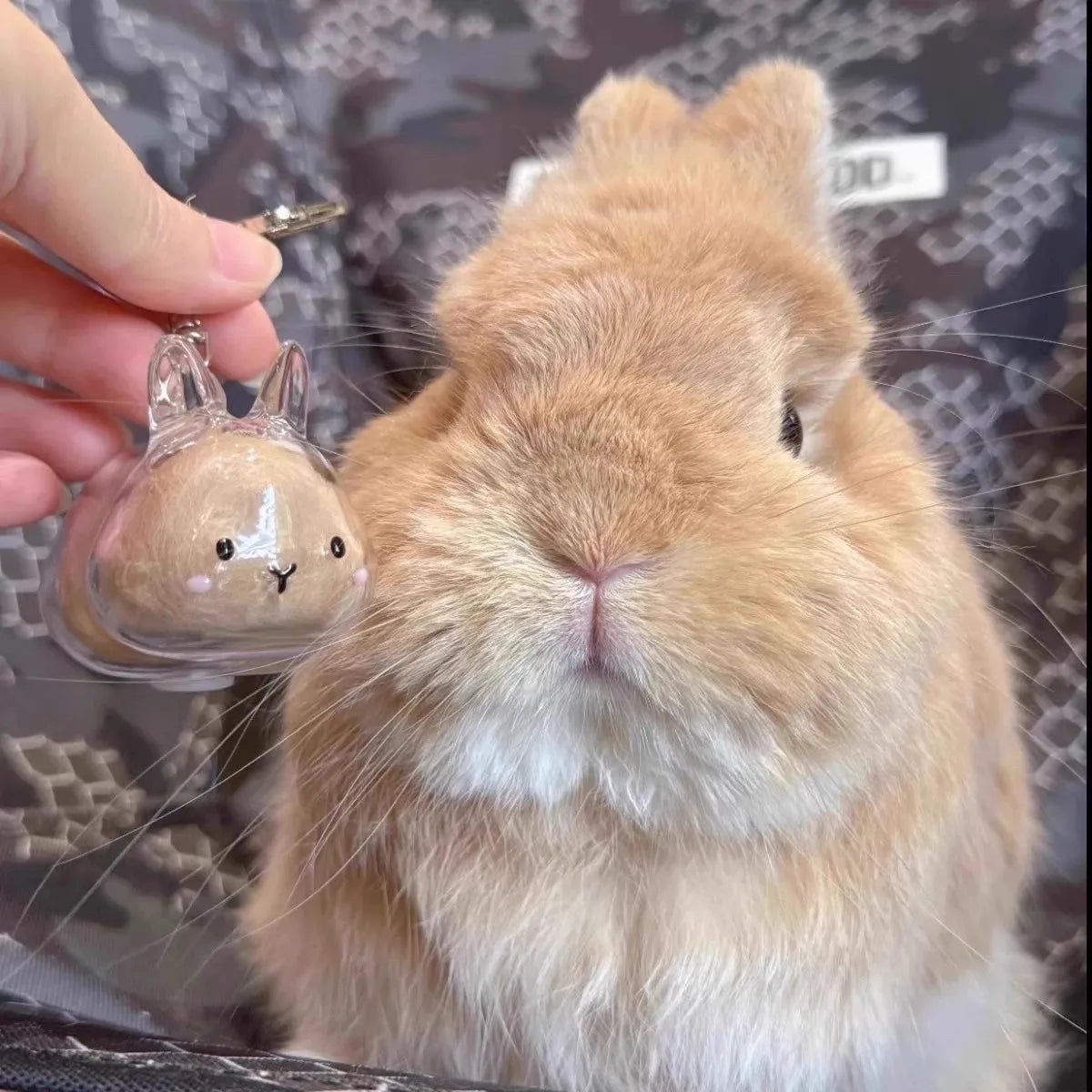 Dog Hair Pendant Keychain