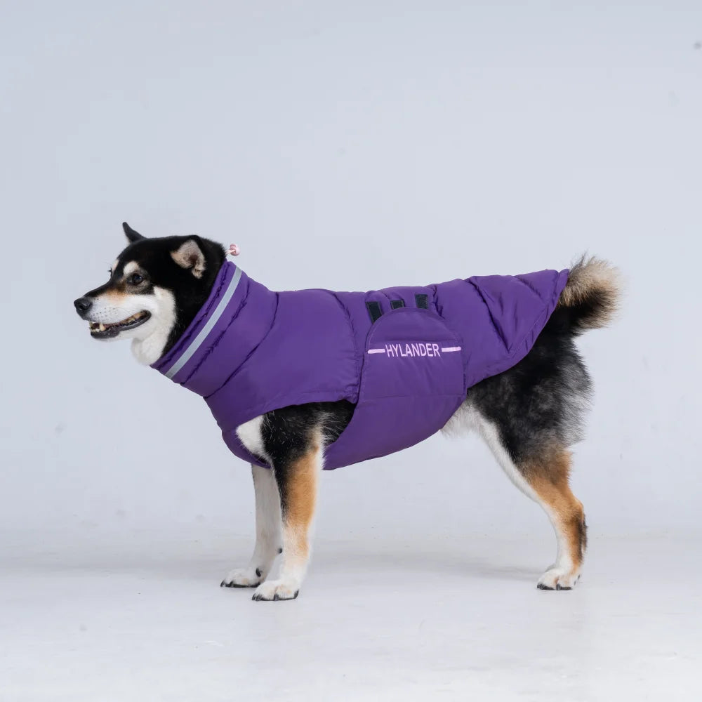 Dog Coat