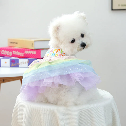 Birthday Suit For Dog