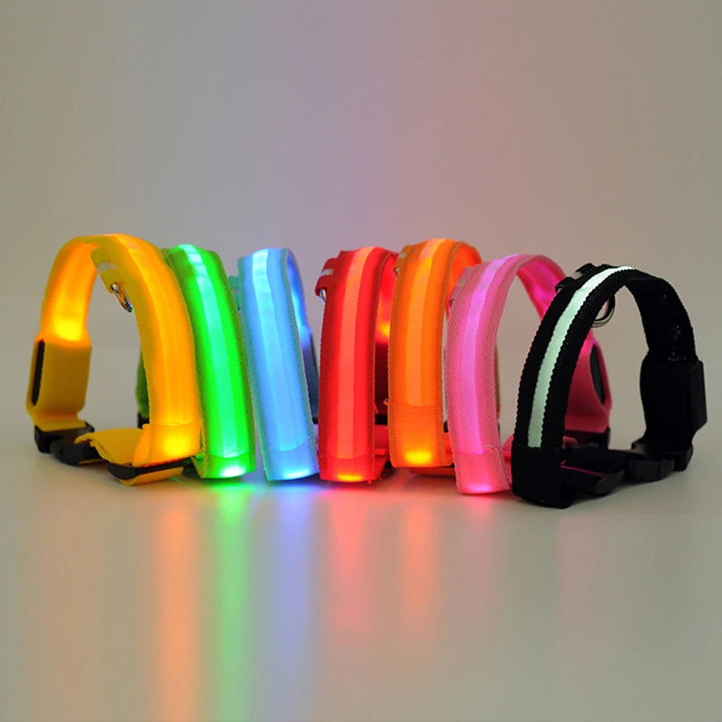 Dog LED Light Collar