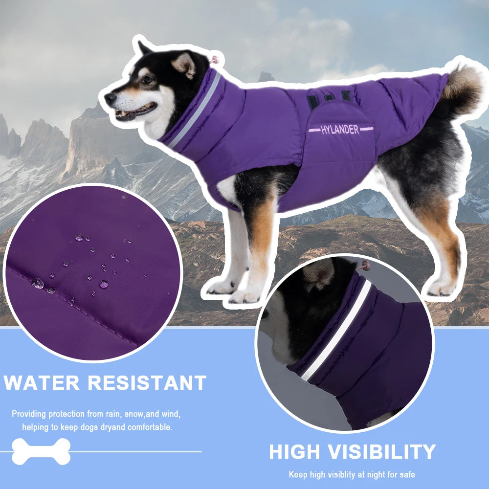 Dog Coat