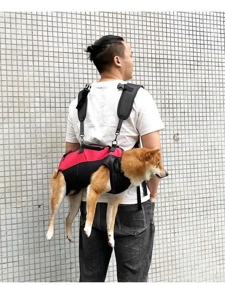Dog Shoulder Bag