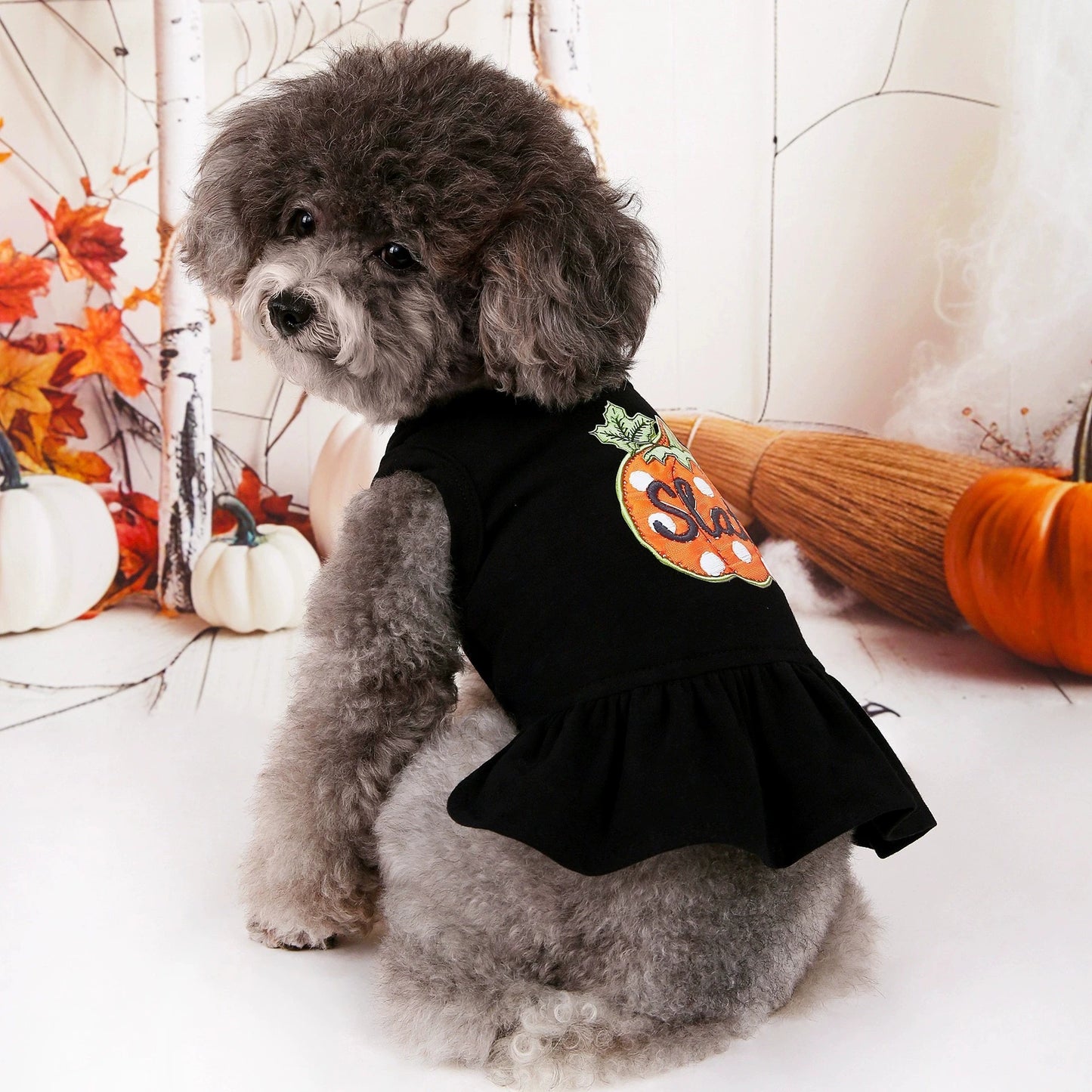 Dog Pumpkin Pattern Dress