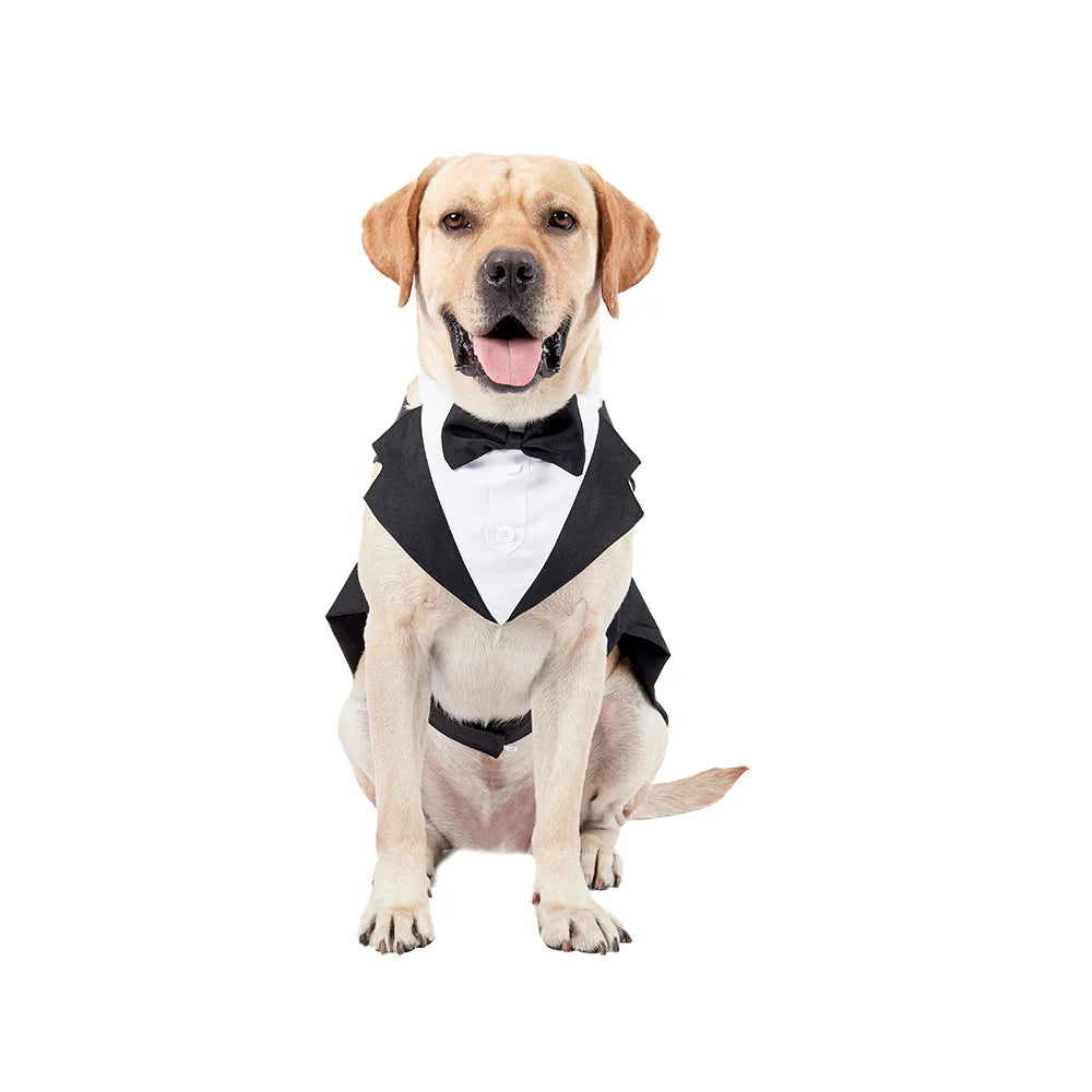 Dog Tuxedo