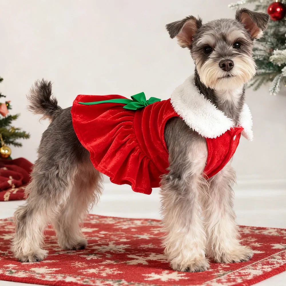 Christmas Dog Dress