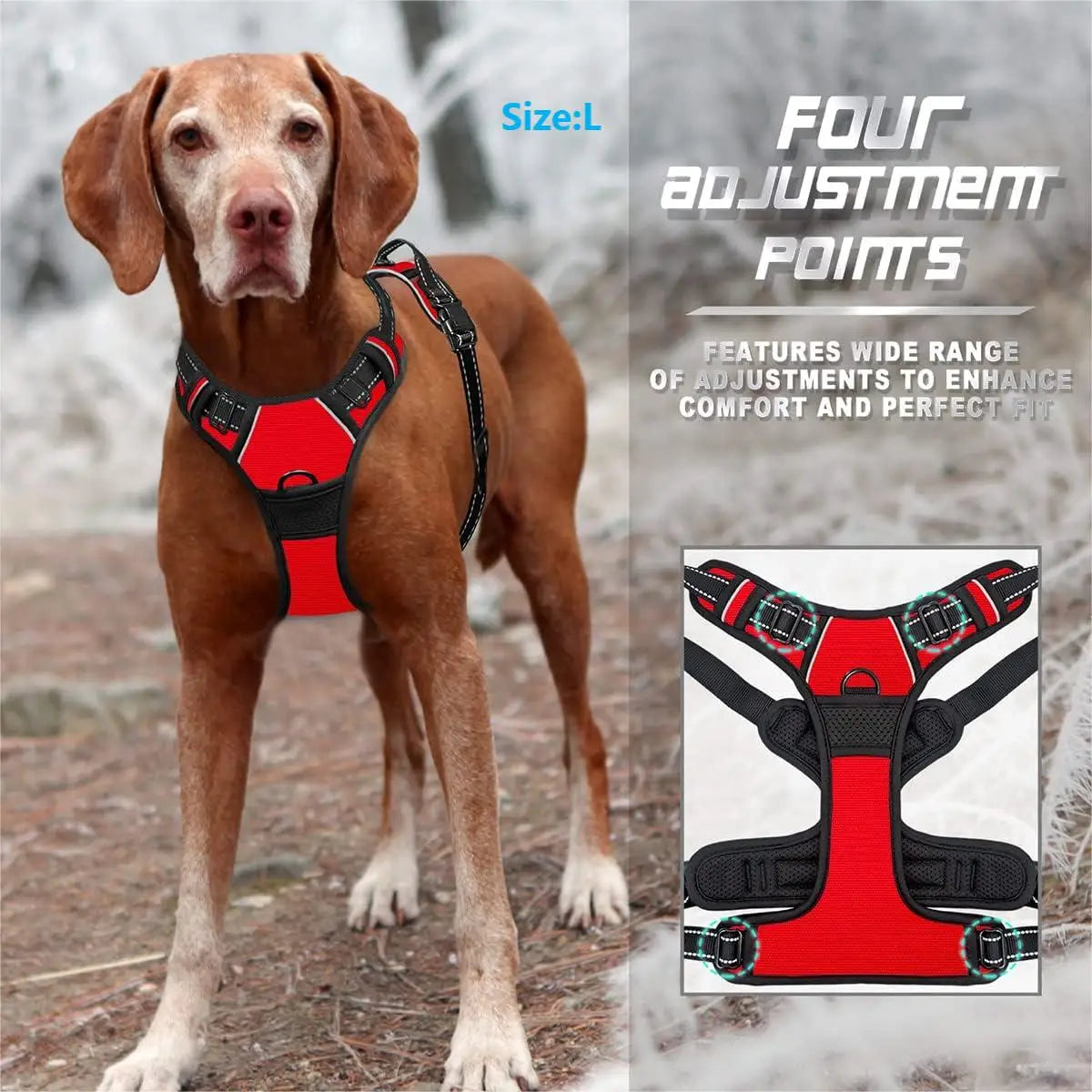 Standard Harness