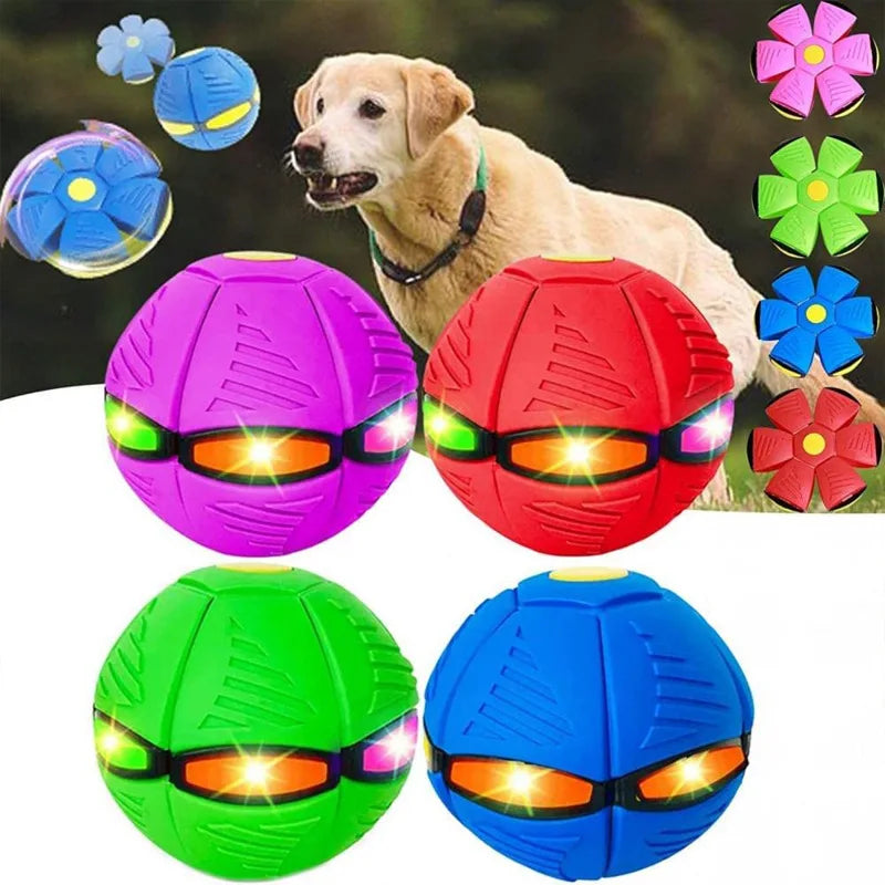 Dog Flying Toys