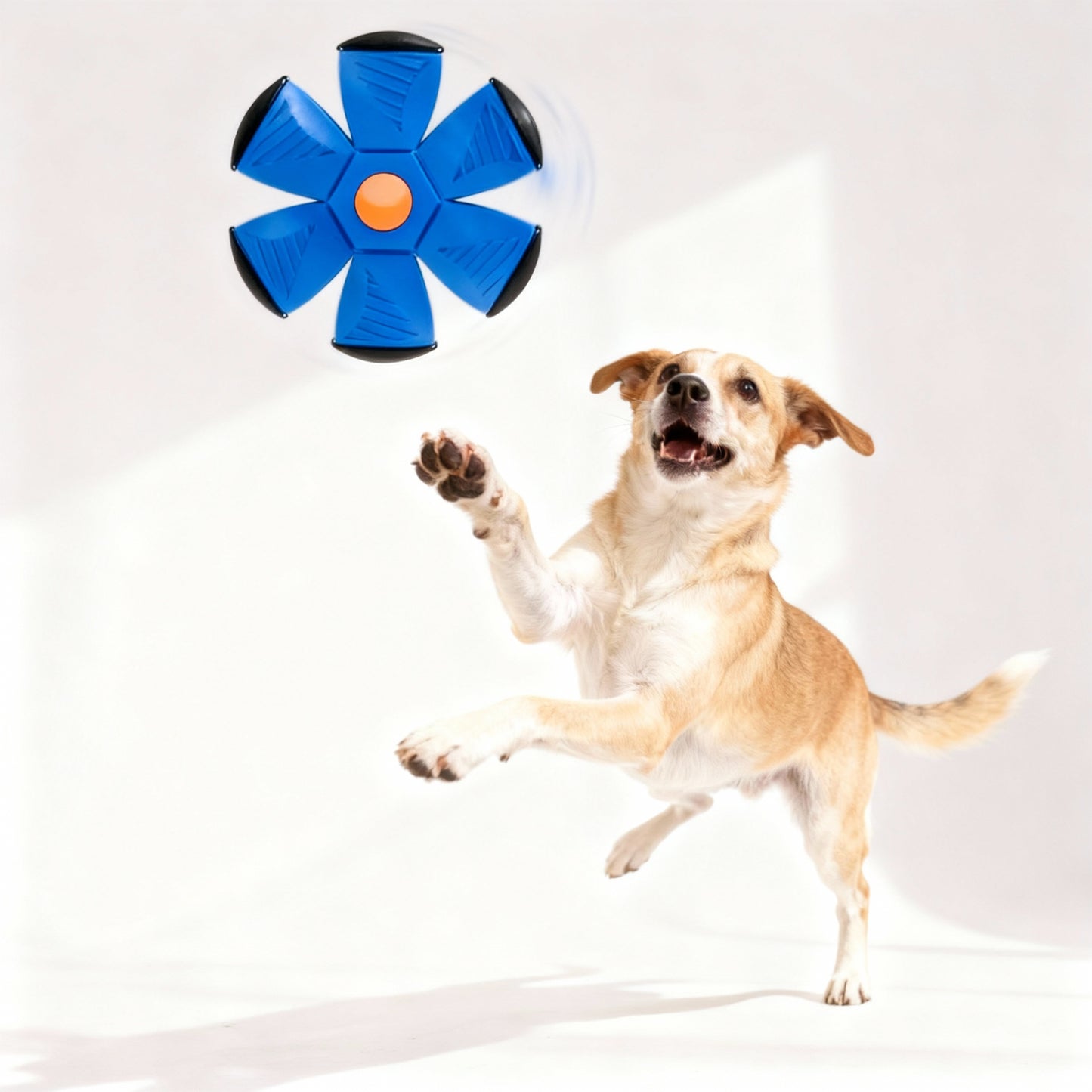Dog Flying Toys