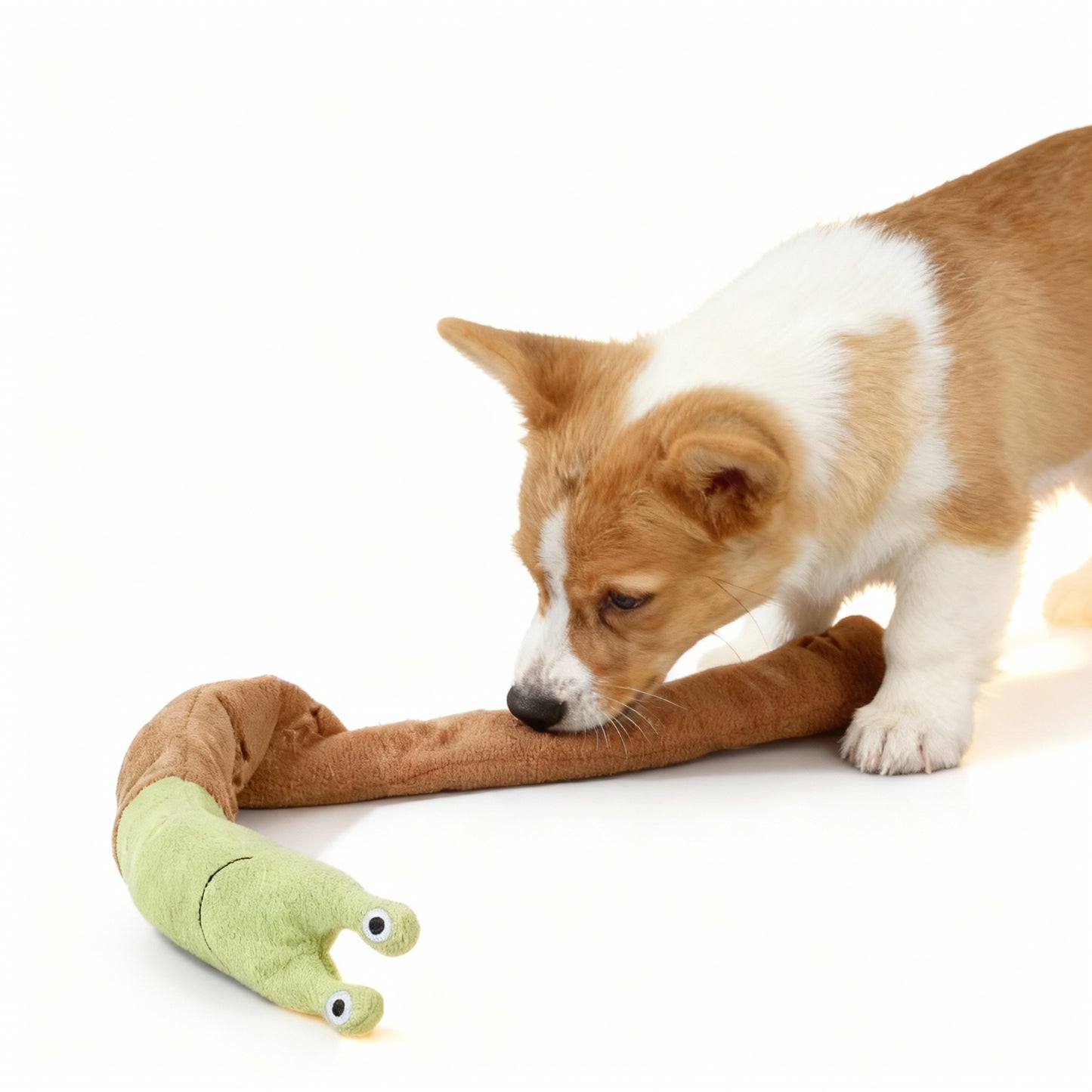 Dog Squeak Toys