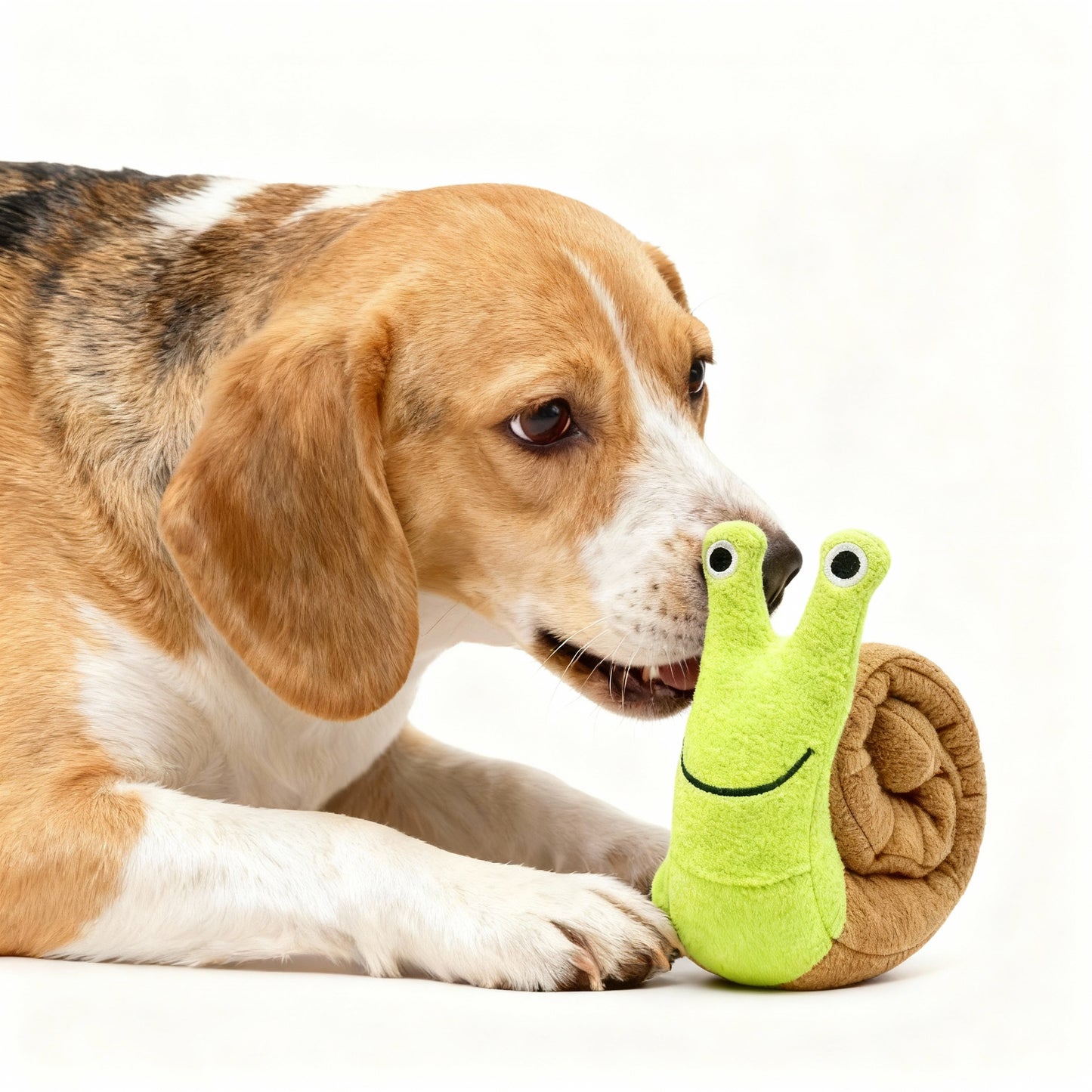 Dog Squeak Toys