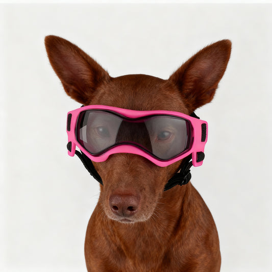 Dog UV Protection Sunglasses