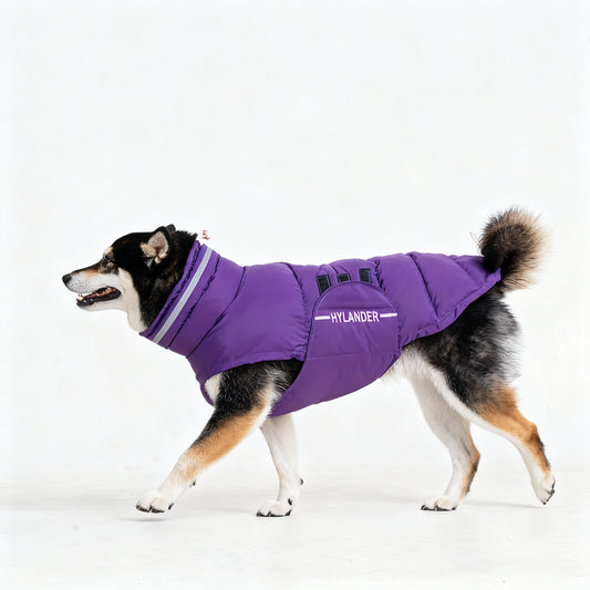 Dog Coat