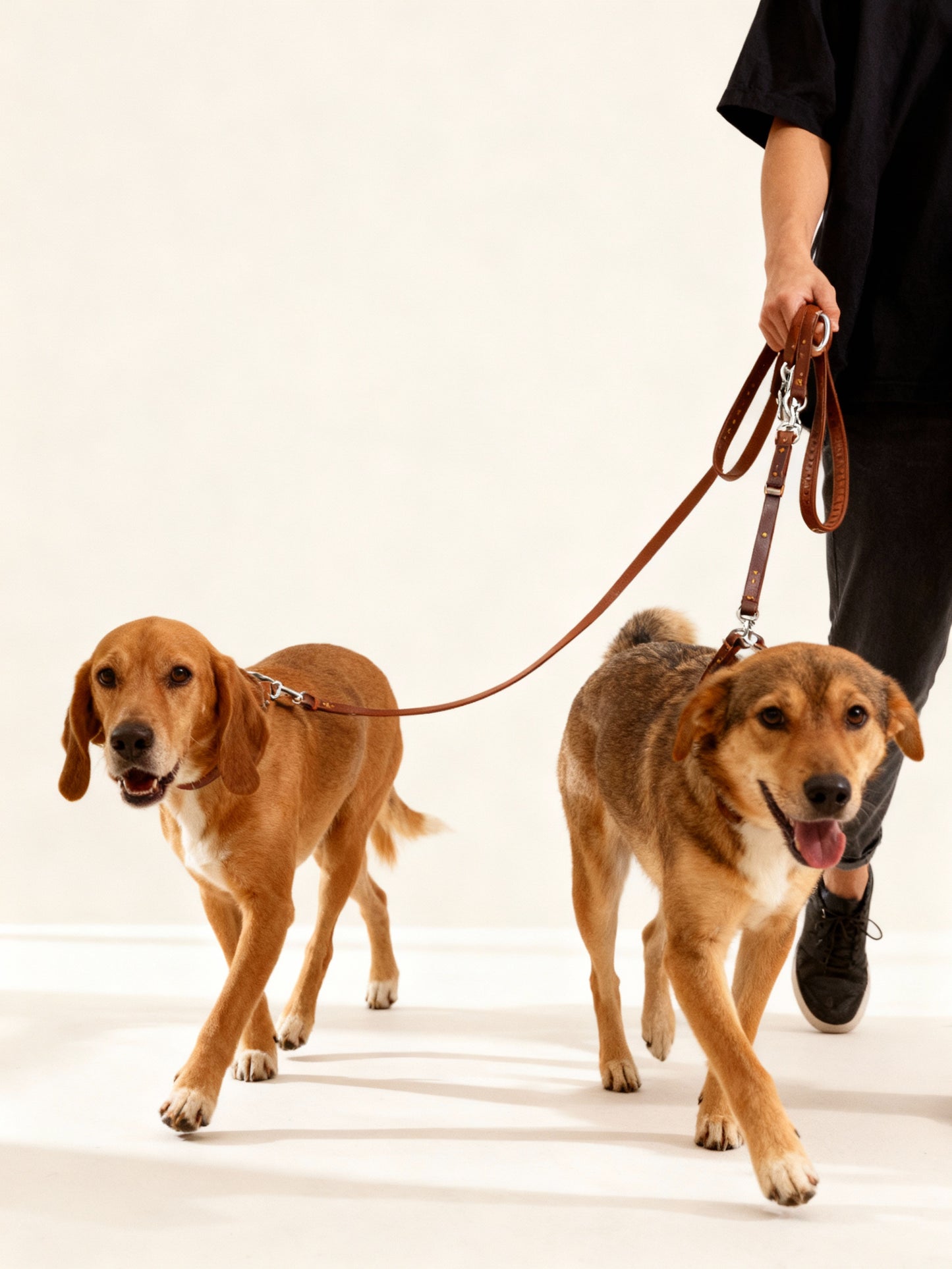 2 Ways Dog  Leather  Leash