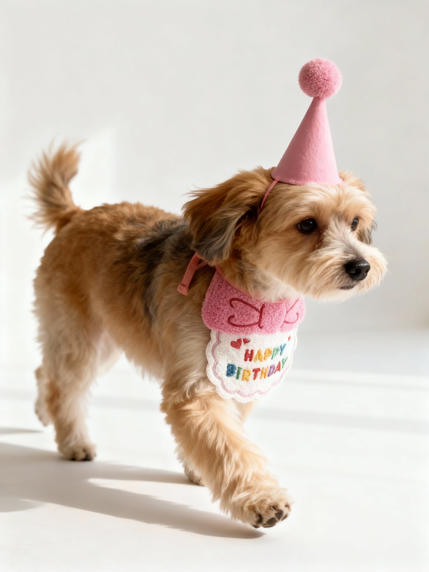 Adorable Puppy Birthday Hat & Bandana Set