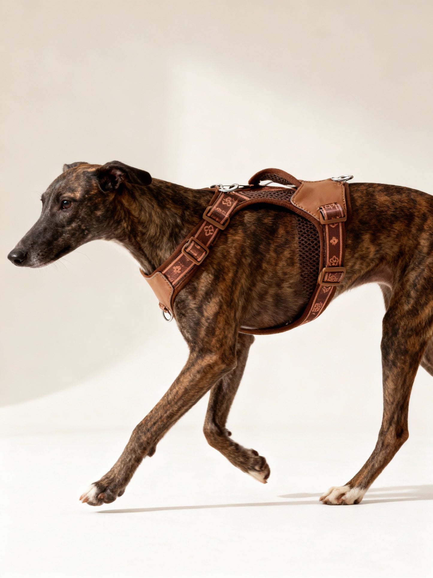 Classics Dog Harness