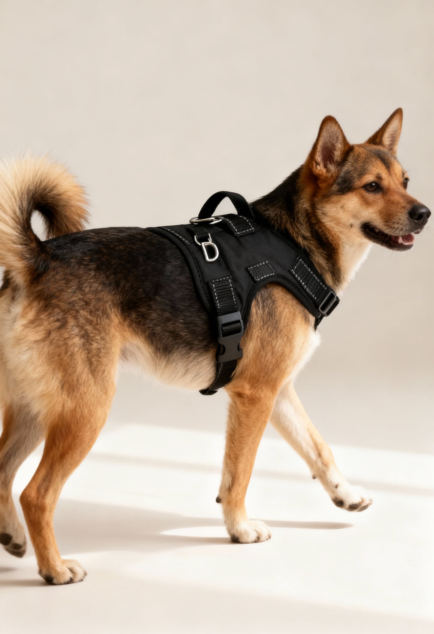 Quick Release Dog Harness