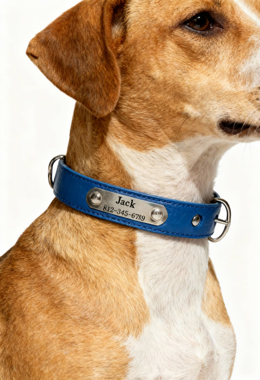 Personalized Name Carved Dog Collar